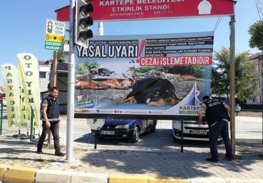 KARTEPE BELEDİYESİ, SOKAK HAYVANLARINI UNUTMADI