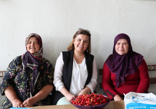 İzmit Kulfallı kirazı ve üzümü ulusal pazara açılacak