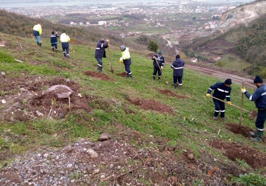 BÜYÜKŞEHİR'DEN GÖLCÜK HİSAREYN'E BAL ORMANI