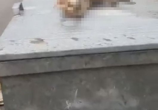 VAHŞET DENİLDİ, ENFEKSİYON ÇIKTI