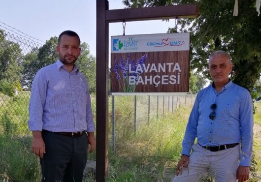 TUTUŞ VE İNCE, LAVANTA BAHÇESİNDEN İZMİT BELEDİYESİNE YÜKLENDİ