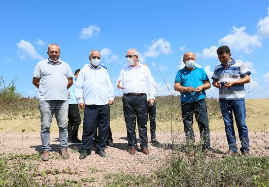 ASPİR'İN  İLK HASADI YAPILDI
