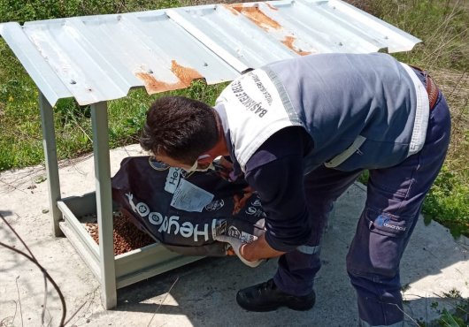SOKAKTAKİ CAN DOSTLARIMIZ BAŞİSKELE BELEDİYESİ'NE EMANET