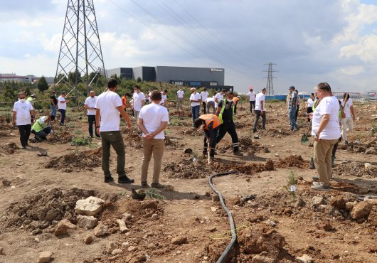 YEŞİLE GÖNÜL VEREN OSB; İMES DİLOVASI