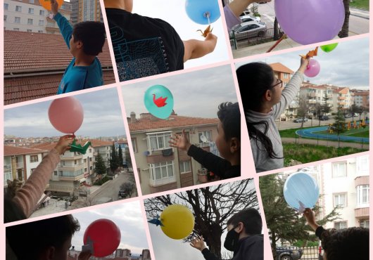 SADAKO'DAN  TELLİ TURNA'YA 
