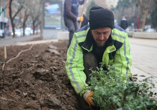 YENİ YÜRÜYÜŞ YOLU YAZIN LAVANTA KOKACAK
