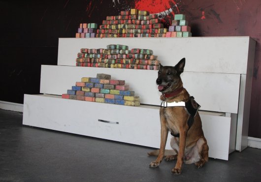 Zuladaki 88 kilo 300 gram eroin  Milov’un burnuna takıldı