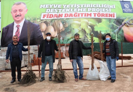 BÜYÜKŞEHİR'İN YÜZDE 50 HİBELİ FİDAN DAĞITIMI BAŞLADI