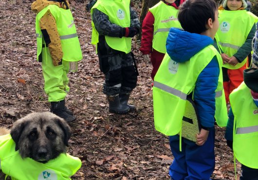 Can dostlarımız Orman Okulundaki miniklere eşlik etti