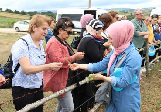 Kocaeli’deki kadın muhtarlar, Büyükşehir’in TABİP projesi kapsamında biberiye ve tıbbı nan