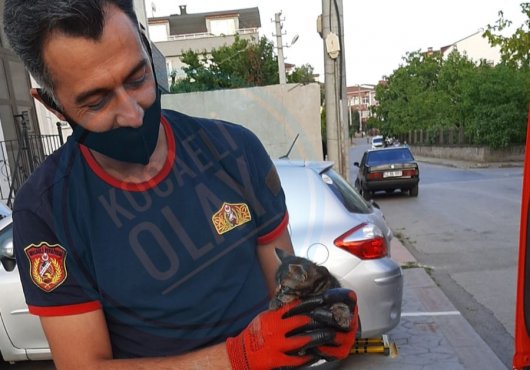 MİNİK KEDİYİ İTFAİYE KURTARDI