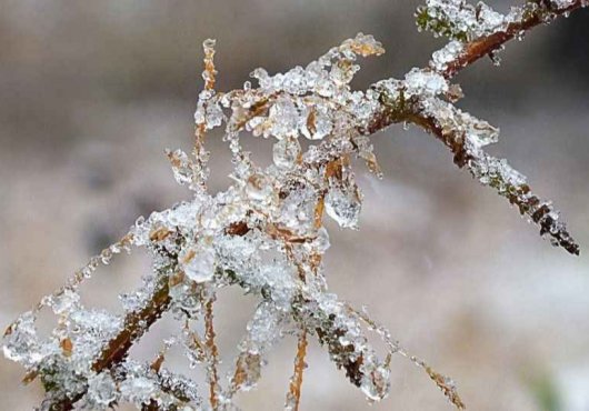 Tam ’da bahar geldi derken, don uyarısı yapıldı!