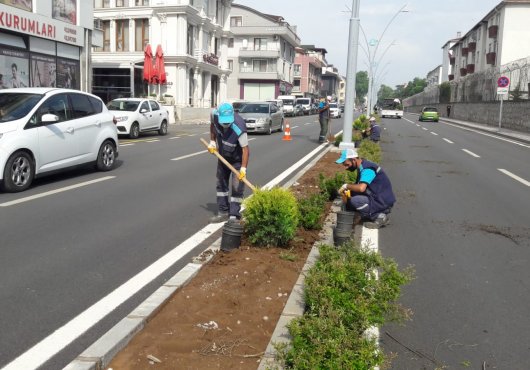 Gölcük’te orta refüjler ve üçgen adalar yeşilleniyor
