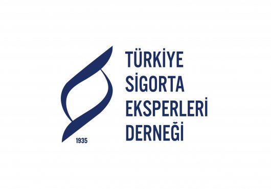 TÜSED SÜRÜCÜ BELGELERİ KONUSUNDA UYARIDA BULUNDU