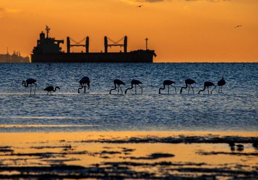     İki Deniz Bir Şehir’i En İyi Onlar Anlattı