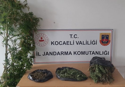 Zehir tacirlerine jandarma operasyonu! 2 gözaltı