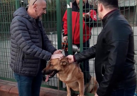 Tel örgüler arasında sıkıştı, itfaiye ekipleri kurtardı