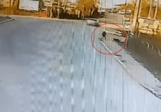 Kandıra'da okula giden çocuğa 2 köpek saldırdı