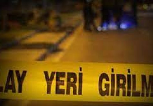 Hayvan otlatma kavgasında  2 yaralı 3 gözaltı