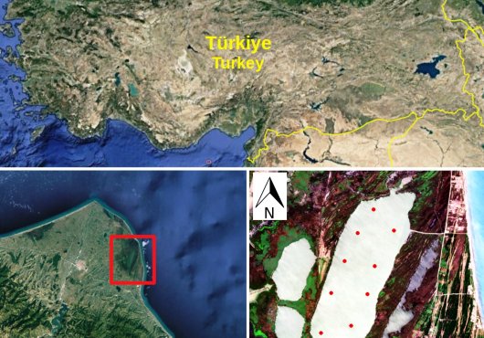 SU KİRLİLİĞİNE UYDUDAN TESPİT