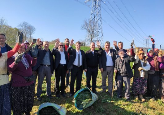 700 DEKARDAN 150 TON BİBERİYE TOPLANDI